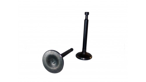 Клапана GX170 Клапана GX170